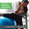 Gaiam Balance Ball Kit, Anti-Burst Stability Ball with Pump | 55cm Anti-Burst Ball | Textured Grip Surface | Air Pump Included | Core & Stability Training | Home Use(Blue)