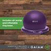 Gaiam Essentials Balance Ball & Base Kit, Yoga Ball Chair, Exercise Ball with Inflatable Ring Base for Home or Office Desk, Includes Air Pump(Navy)