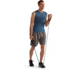 Gaiam Resistance Cord with Door Attachment(Heavy)