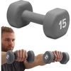 Gaiam Dumbbell Hand Weight (Sold in Singles) – Neoprene Coated Exercise & Fitness Dumbbell for Home Gym Workouts and Strength Training – Free Weights for Women and Men(15lb)