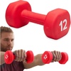 Gaiam Dumbbell Hand Weight (Sold in Singles) – Neoprene Coated Exercise & Fitness Dumbbell for Home Gym Workouts and Strength Training – Free Weights for Women and Men(12lb)