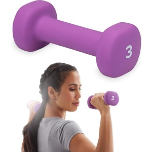 Gaiam Dumbbell Hand Weight (Sold in Singles) – Neoprene Coated Exercise & Fitness Dumbbell for Home Gym Workouts and Strength Training – Free Weights for Women and Men(3lb)
