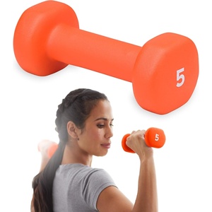 Gaiam Dumbbell Hand Weight (Sold in Singles) – Neoprene Coated Exercise & Fitness Dumbbell for Home Gym Workouts and Strength Training – Free Weights for Women and Men(5lb)