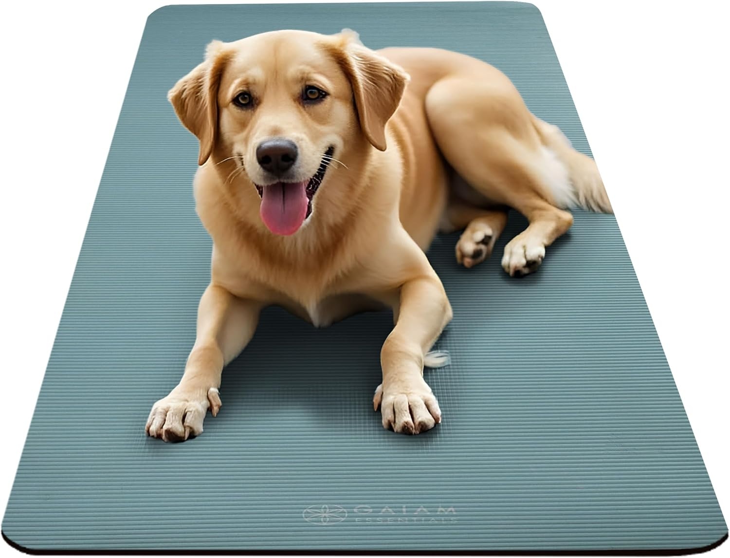 image:imageGaiam Thick Yoga Mat Exercise amp Fitness Mat with EasyCinch Carrying Strap NonSlip NBR Foam Joint Cushioning Yoga Pilates Fitness amp Floor Workouts 72L x 24WBalsam