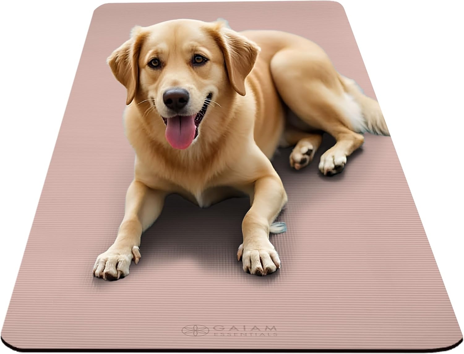 image:imageGaiam Thick Yoga Mat Exercise amp Fitness Mat with EasyCinch Carrying Strap NonSlip NBR Foam Joint Cushioning Yoga Pilates Fitness amp Floor Workouts 72L x 24WFrench Rose