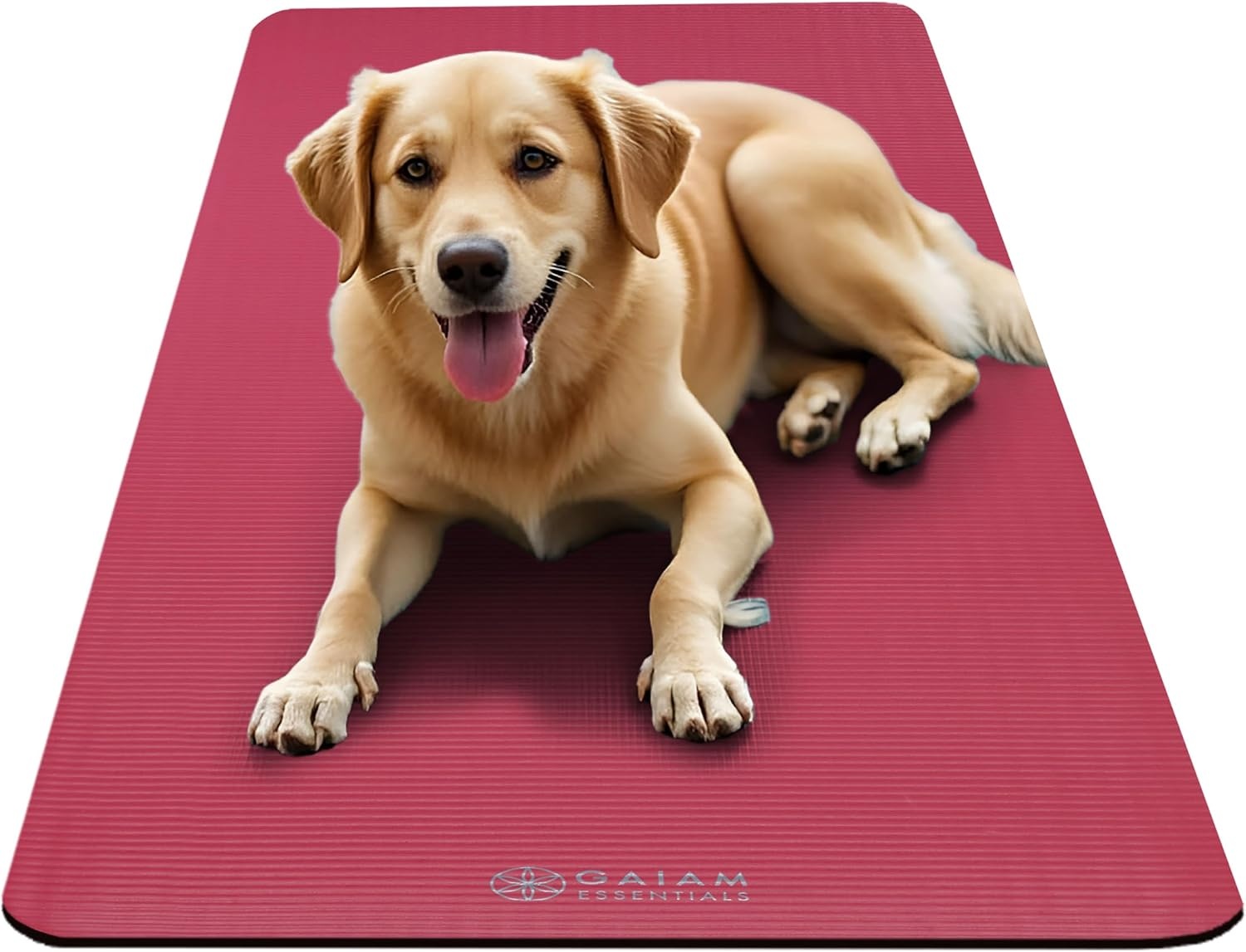 image:imageGaiam Thick Yoga Mat Exercise amp Fitness Mat with EasyCinch Carrying Strap NonSlip NBR Foam Joint Cushioning Yoga Pilates Fitness amp Floor Workouts 72L x 24WPink