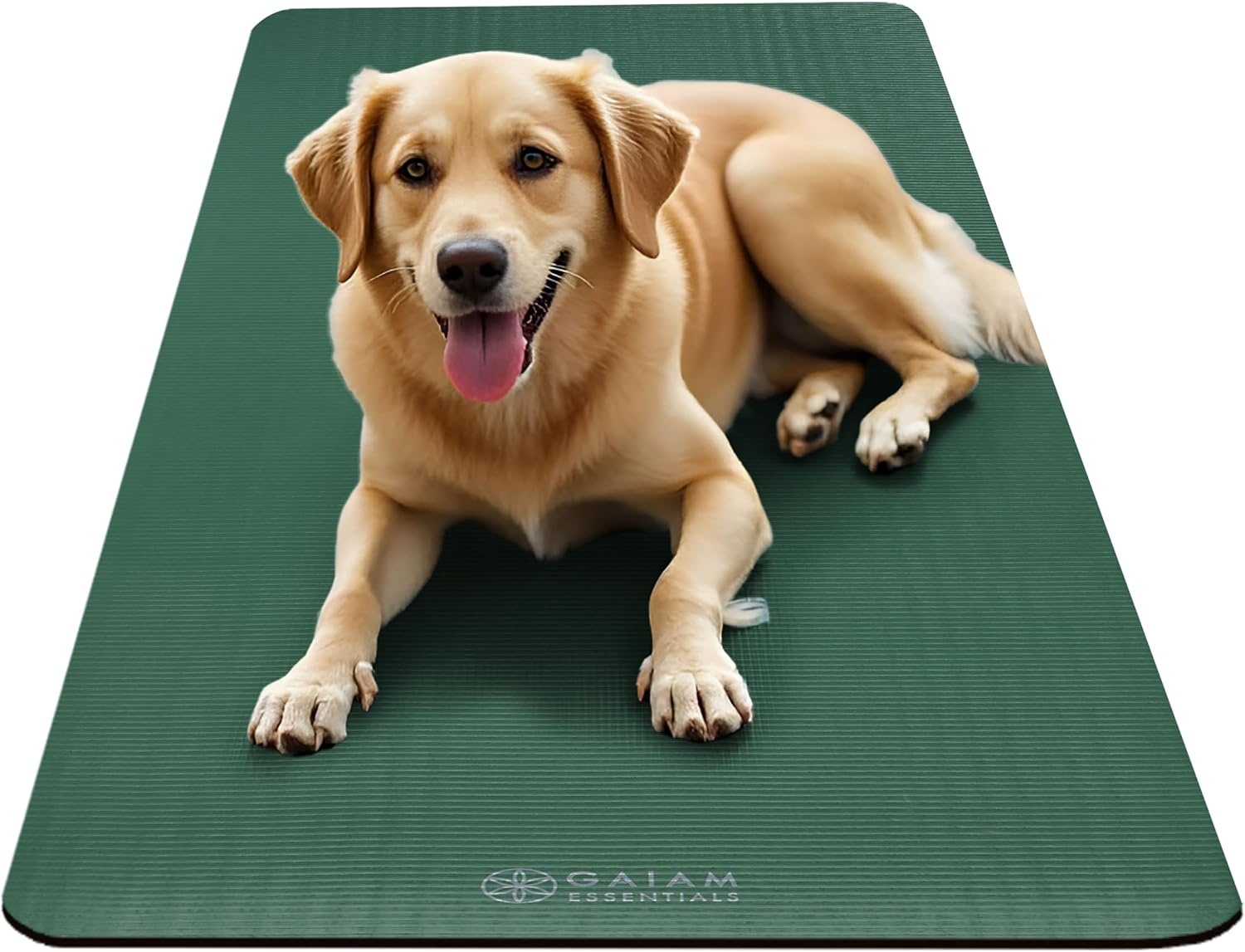 image:imageGaiam Thick Yoga Mat Exercise amp Fitness Mat with EasyCinch Carrying Strap NonSlip NBR Foam Joint Cushioning Yoga Pilates Fitness amp Floor Workouts 72L x 24WGreen