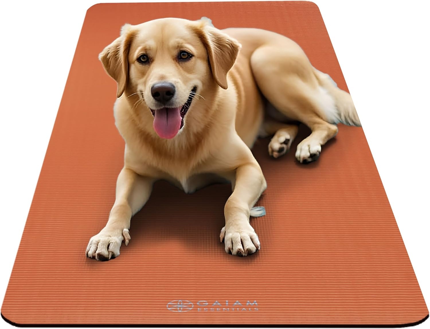 image:imageGaiam Thick Yoga Mat Exercise amp Fitness Mat with EasyCinch Carrying Strap NonSlip NBR Foam Joint Cushioning Yoga Pilates Fitness amp Floor Workouts 72L x 24WOrange