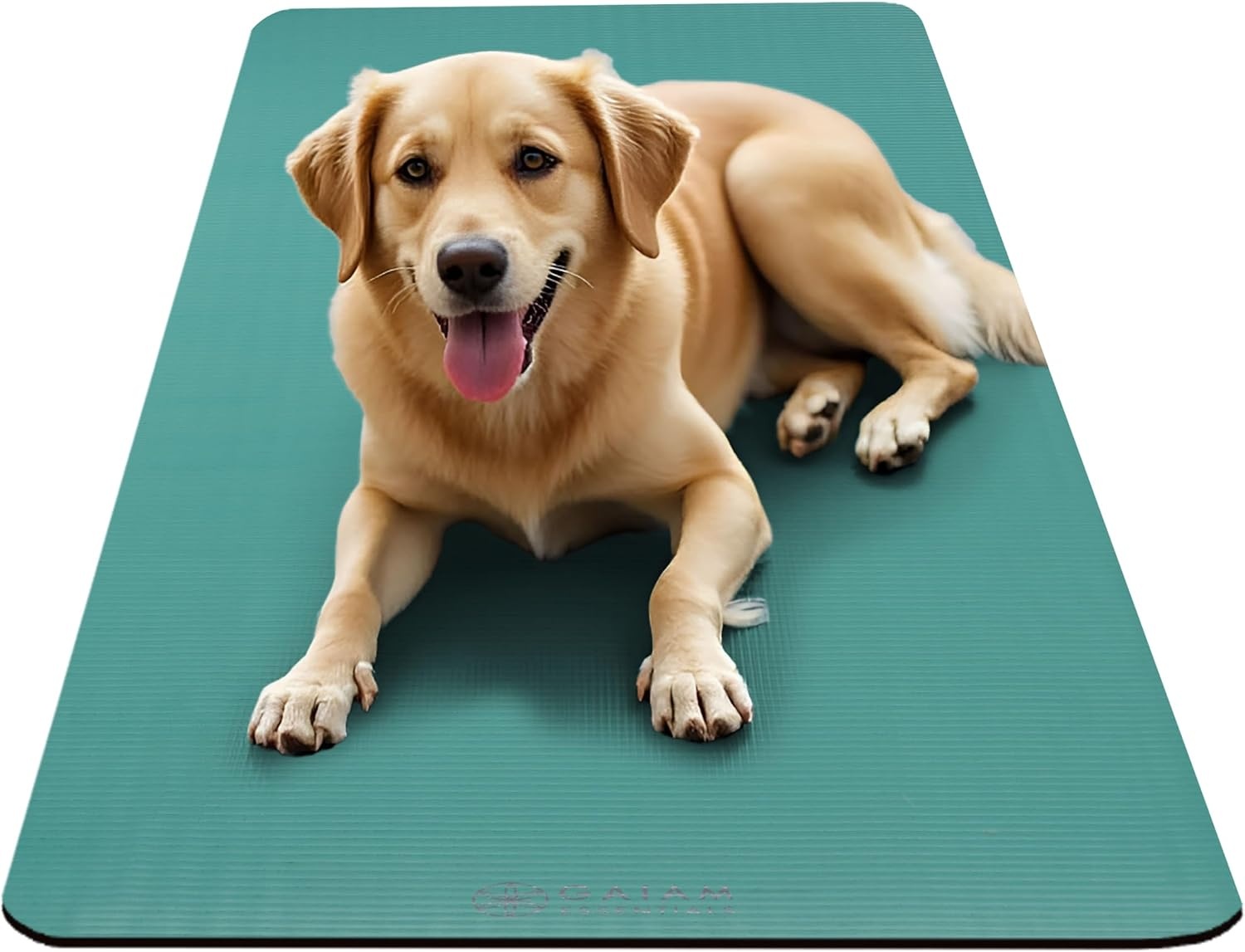 image:imageGaiam Thick Yoga Mat Exercise amp Fitness Mat with EasyCinch Carrying Strap NonSlip NBR Foam Joint Cushioning Yoga Pilates Fitness amp Floor Workouts 72L x 24WTeal