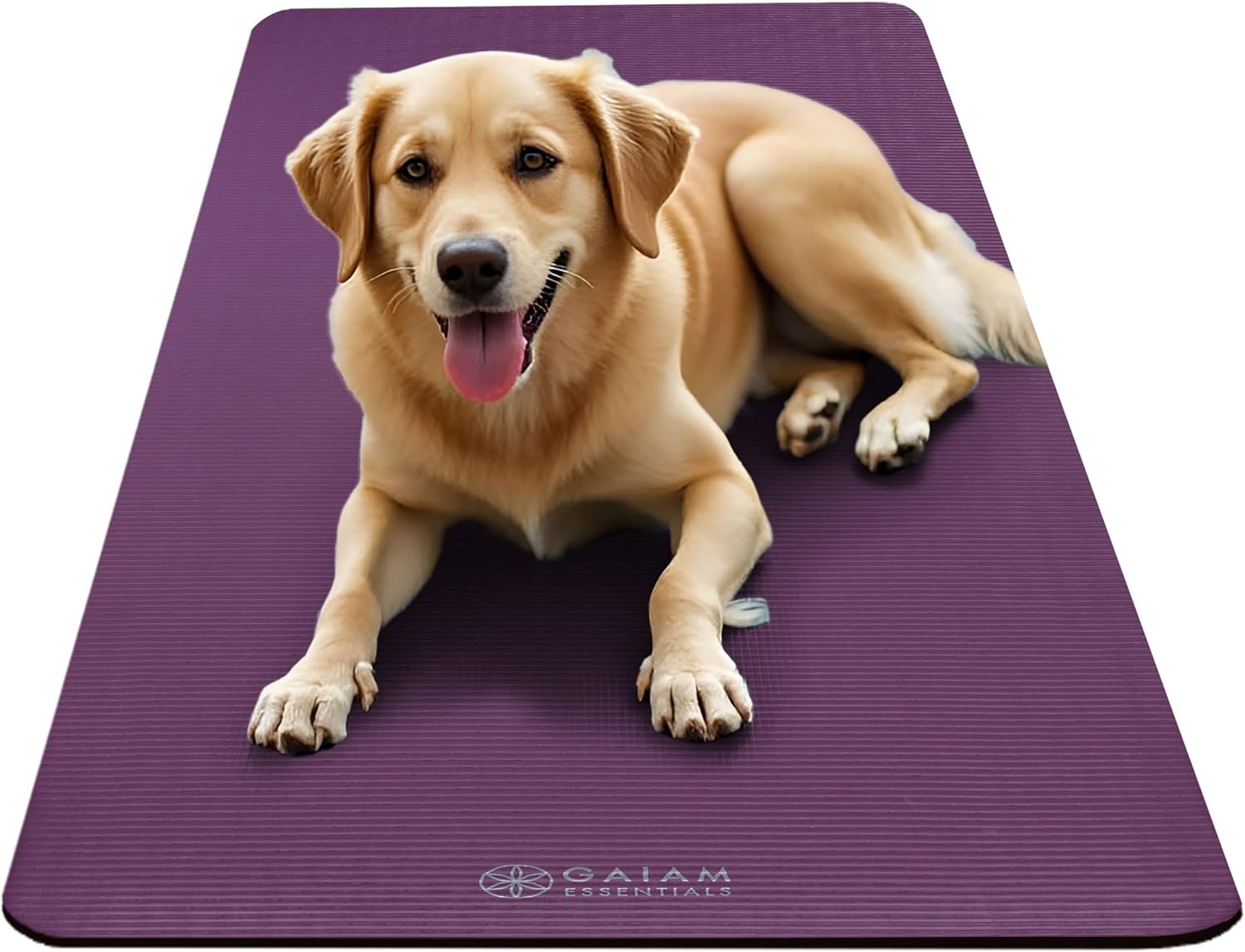 image:imageGaiam Thick Yoga Mat Exercise amp Fitness Mat with EasyCinch Carrying Strap NonSlip NBR Foam Joint Cushioning Yoga Pilates Fitness amp Floor Workouts 72L x 24WPurple