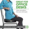 Gaiam Balance Disc Wobble Cushion, 16″, Core Stability Seat | 16″ Diameter | Home & Office Chair Use | Kids Wiggle Seat | Core Stability Training | Non-Slip Base(Black)