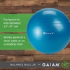 Gaiam Classic Balance Ball Chair, Stability Seat (Black) | 52cm stability ball chair builds core strength while you sit. Includes pump & exercise guide.(Blue/Green)