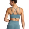 Gaiam Women’s Shine Bra, Slim Fit, Stretch Midweight Material, Moisture-Wicking(Goblin Blue)