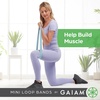 Mini Loop Bands 3-Pack(Pastels)