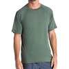 Duck Green
