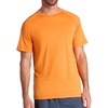 Persimmon Orange