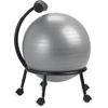 Gaiam Custom-Fit Balance Ball Chair – Exercise Stability Ball Adjustable Desk Chair for Home or Office with 55cm Yoga Ball, Air Pump, Exercise Guide and Satisfaction Guarantee