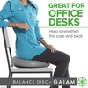 Gaiam Balance Disc Wobble Cushion, 16″, Core Stability Seat(Grey)